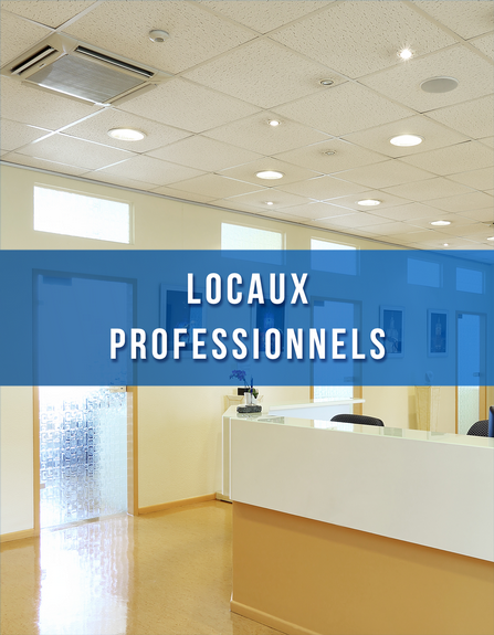 X-Locaux-Pro.png